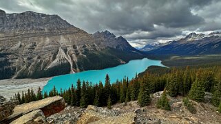 Peyto Lake - Parc National de Banff